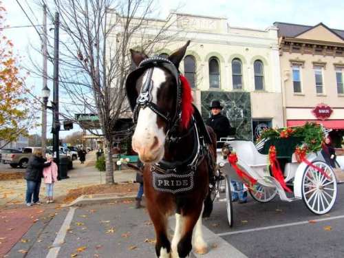 A horse in a harness labeled "PRIDE" stands in front of a festive carriage on a city street.