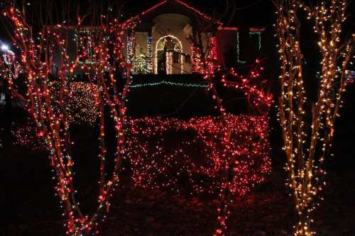 A house decorated with colorful Christmas lights, surrounded by trees adorned with red and white lights.