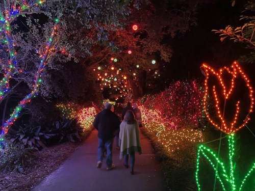 A pathway illuminated with colorful holiday lights, featuring floral designs and people walking through the festive display.
