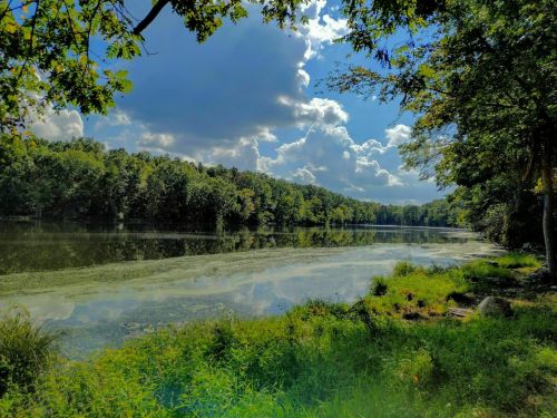 A serene lake surrounded by lush greenery and trees, under a partly cloudy sky.