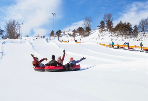 A group of friends joyfully tubing down a snowy slope on a sunny day, with others enjoying the winter fun in the background.
