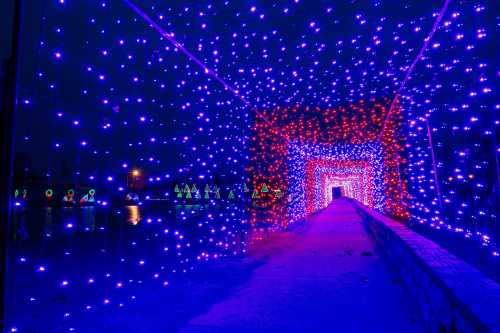 A vibrant tunnel of blue and red lights, creating a festive atmosphere along a pathway at night.