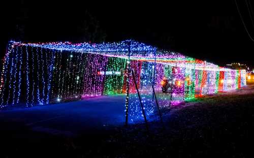 A colorful display of holiday lights drapes over a pathway, creating a festive atmosphere at night.