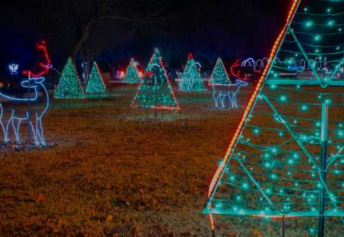 Colorful Christmas lights illuminate a park, featuring decorated trees and a glowing reindeer in the foreground.