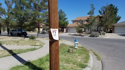 A utility pole with a missing person poster, surrounded by houses and trees on a sunny day.