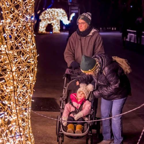 A man and woman admire festive lights while pushing a stroller with a child in a winter setting.