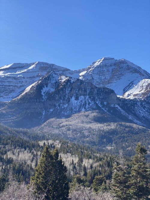 Snow-capped mountains rise above a forested valley under a clear blue sky.
