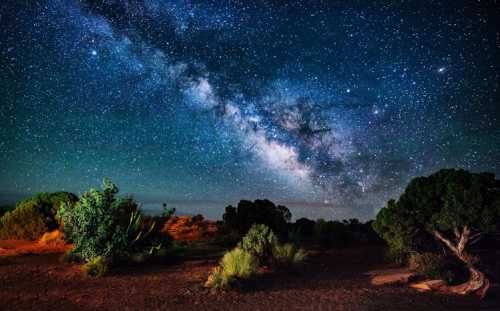 A stunning night sky filled with stars and the Milky Way, framed by desert vegetation and a serene landscape.