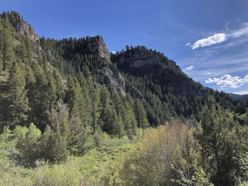 Lush green mountains under a blue sky with scattered clouds, showcasing rocky cliffs and dense pine trees.