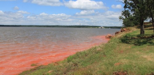 A lake with reddish water, grassy shore, and trees under a partly cloudy sky.