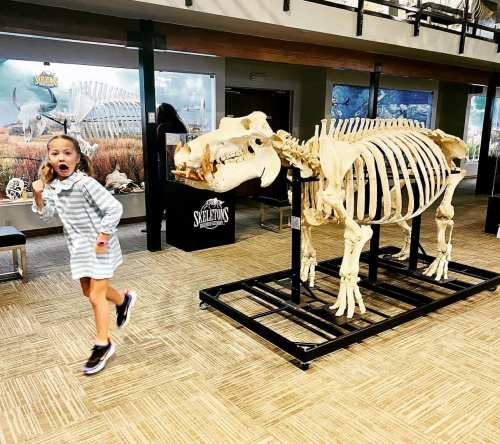 A child in a striped dress stands surprised next to a large dinosaur skeleton in a museum exhibit.