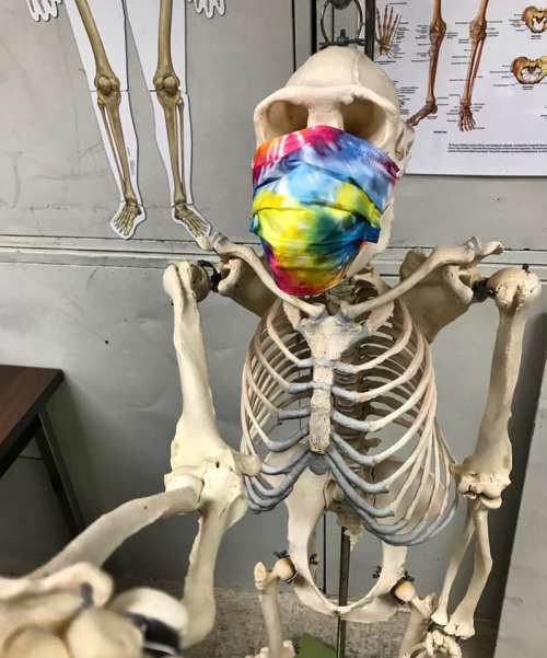 A skeleton wearing a colorful tie-dye mask, positioned in a classroom setting with anatomical charts in the background.