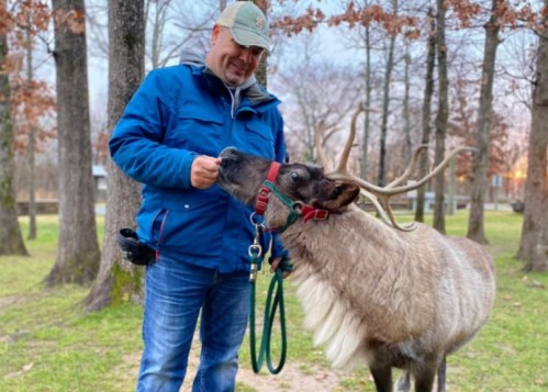 A man in a blue jacket feeds a reindeer while standing in a wooded area with trees in the background.