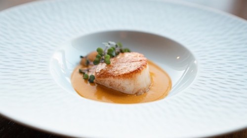 A beautifully plated scallop on a creamy sauce, garnished with small green herbs, served in a textured white dish.