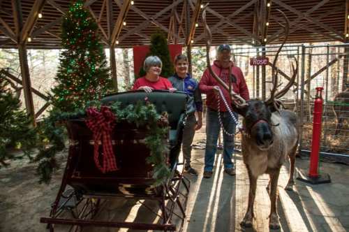 Three people stand beside a decorated sleigh and a reindeer in a festive indoor setting with Christmas trees.