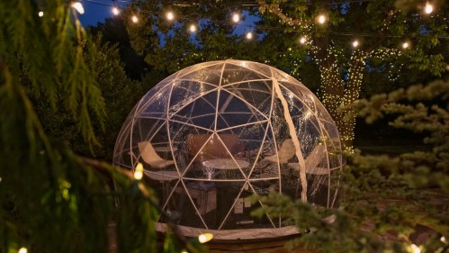 A cozy geodesic dome with string lights, surrounded by greenery, set in a tranquil outdoor space at night.
