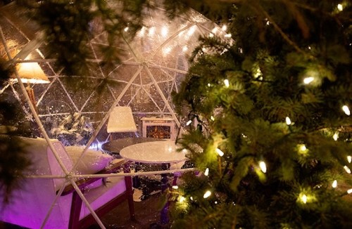 A cozy igloo-shaped seating area surrounded by greenery and twinkling lights, creating a warm, inviting atmosphere.