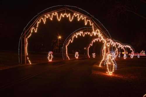 A nighttime scene featuring illuminated arches and festive light displays along a pathway.