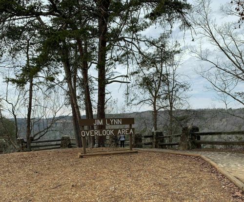Sign for Jim Lynn Overlook Area surrounded by trees, with a scenic view in the background on a cloudy day.
