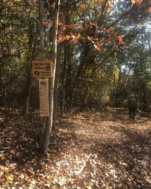 A wooded trail with autumn leaves and a sign for Paint Rock Trail, with a person walking in the distance.