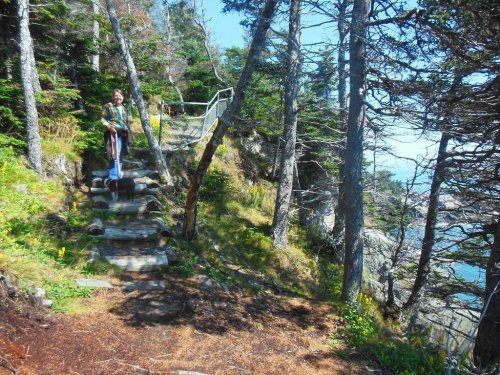 A person stands on a stone path surrounded by trees, with a view of the ocean in the background on a sunny day.