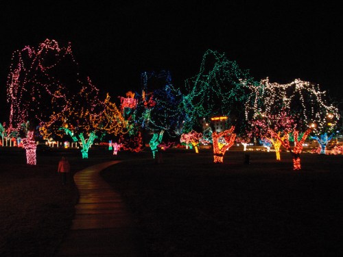 Colorful trees adorned with vibrant holiday lights illuminate a dark park path at night.