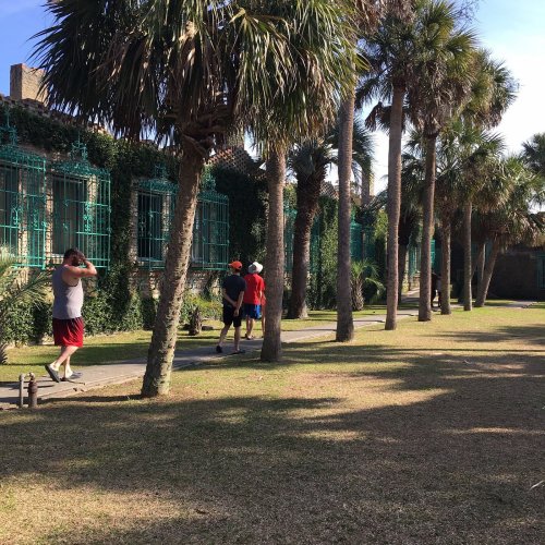 A group of people walking along a path lined with palm trees and greenery in a sunny outdoor setting.