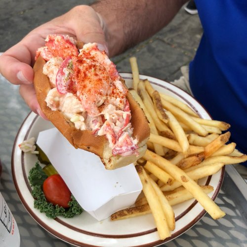 A hand holding a lobster roll topped with paprika, accompanied by a side of fries and a small salad.