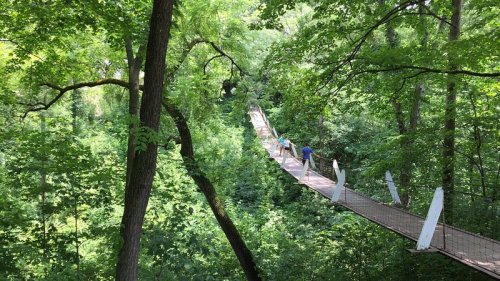 A suspension bridge surrounded by lush green trees, with people walking across it in a serene forest setting.