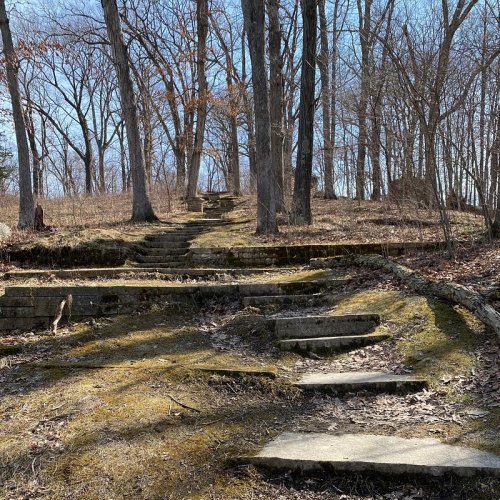 Stone steps lead up a wooded path, surrounded by bare trees and a clear blue sky.