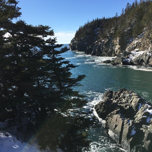 A serene coastal scene with rocky cliffs, evergreen trees, and calm turquoise waters under a clear blue sky.