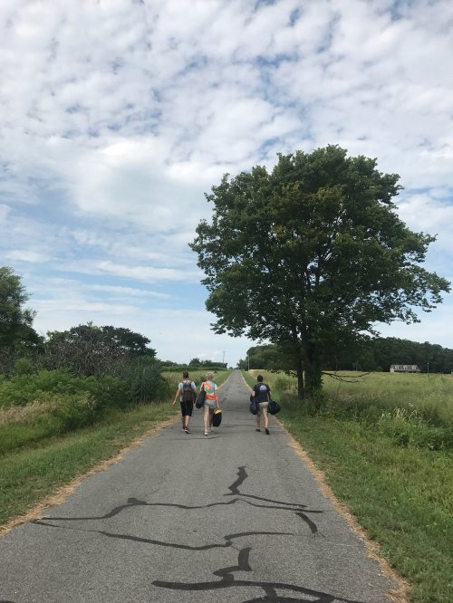 Three people walking down a cracked road surrounded by greenery and a large tree under a cloudy sky.