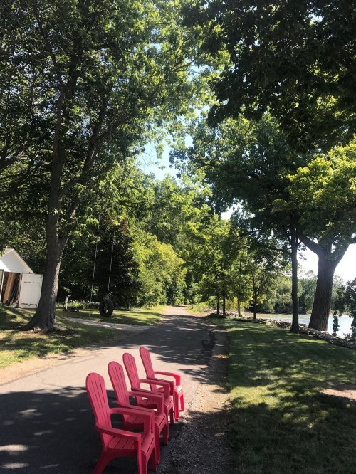 A peaceful path lined with trees, featuring four pink chairs and a tire swing in the background.