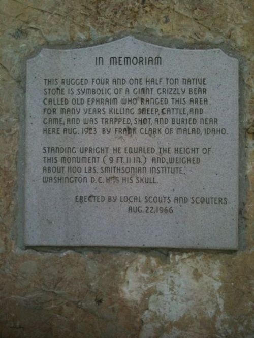 A stone plaque commemorating a giant grizzly bear named Ephraim, detailing its history and significance.