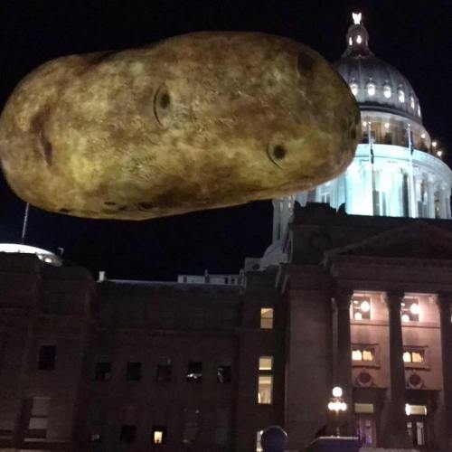 A giant potato floats above a historic building at night, illuminated by lights from the structure and the dome.