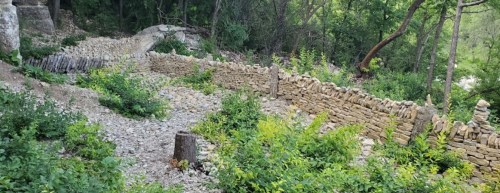 A rocky path leads through a lush green area with stone walls and scattered vegetation in a wooded setting.