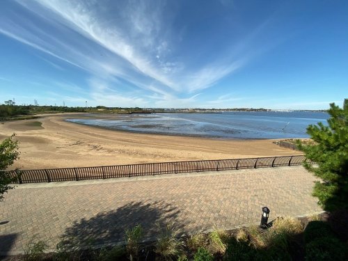 A serene beach scene with a sandy shore, calm water, and a clear blue sky, framed by greenery and a walkway.