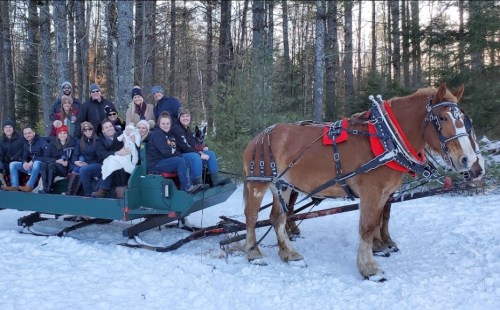 A group of people sitting on a sled pulled by a horse in a snowy forest setting.