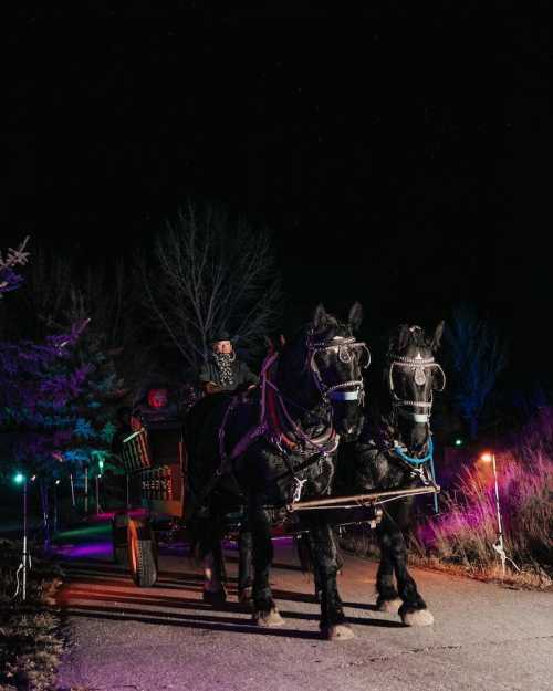 A carriage pulled by two black horses at night, illuminated by colorful lights along a path.