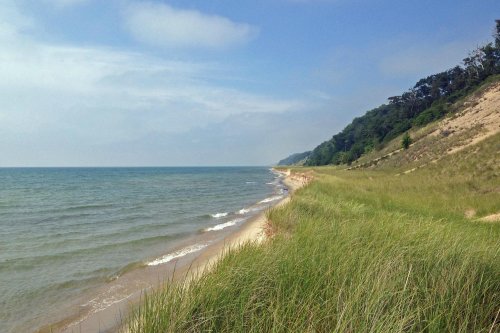 A serene beach scene with gentle waves, sandy shore, and lush green grass along the coastline under a blue sky.