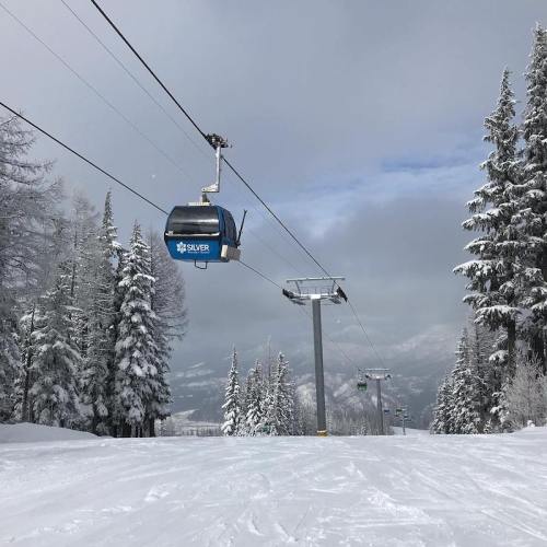 A ski gondola travels above a snowy landscape, surrounded by tall evergreen trees under a cloudy sky.