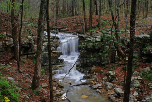 A serene waterfall cascades over rocks in a lush forest, surrounded by trees and earthy tones.