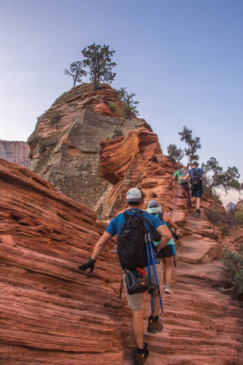 Hikers ascend a rocky trail with red sandstone formations and a lone tree atop a peak in the background.