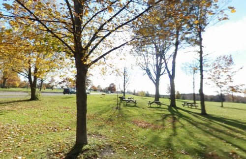 A sunny park scene with trees and picnic tables surrounded by autumn foliage and long shadows on the grass.