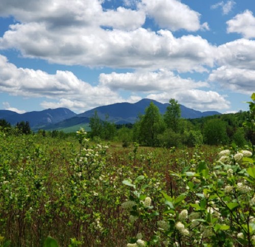 A scenic view of green fields and mountains under a blue sky with fluffy clouds.