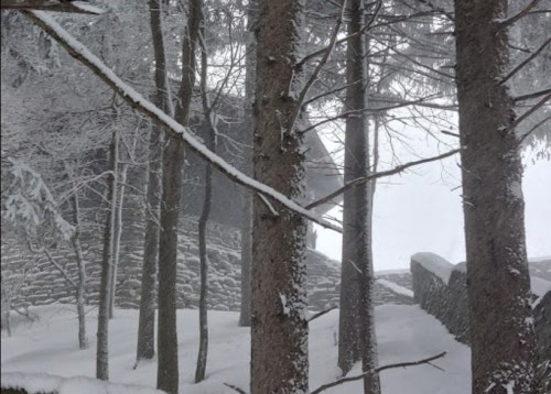 A snowy landscape with trees in the foreground and a stone structure partially visible in the background.