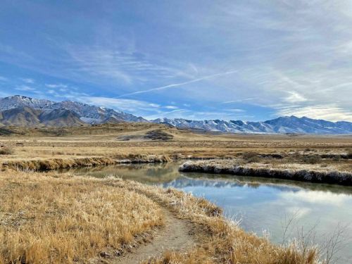 A serene landscape featuring a calm river, golden grass, and distant snow-capped mountains under a blue sky.