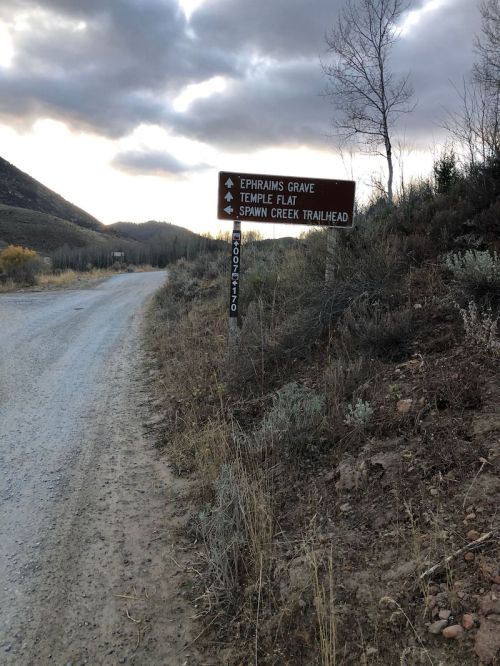 A dirt road with a brown sign pointing to Ephraim's Grave, Temple Flat, and Spawn Creek Trailhead under a cloudy sky.