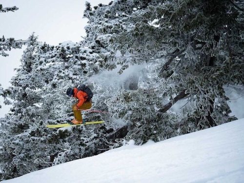 A skier jumps off a snowy slope, surrounded by frosty trees, creating a spray of snow in the air.