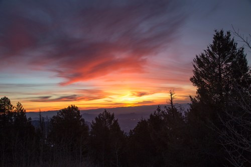 A vibrant sunset paints the sky in shades of orange and pink, framed by dark silhouettes of trees.